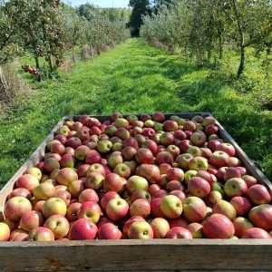 Ferme Le Cèdre