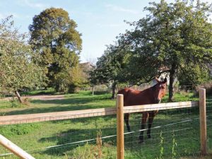 La Ferme de Rouffigny