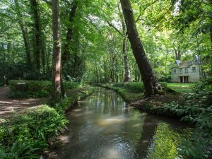 Parc et jardins du château de Canon