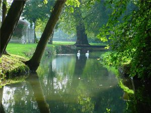 Parc et jardins du château de Canon